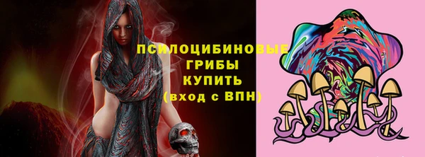 мяу мяу мука Аркадак