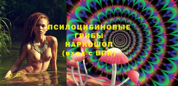 хмурый Кинешма