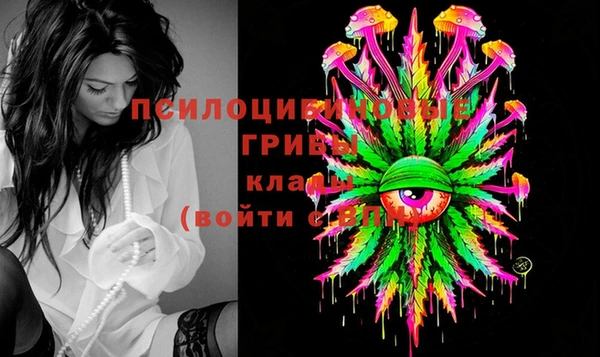 мяу мяу мука Аркадак
