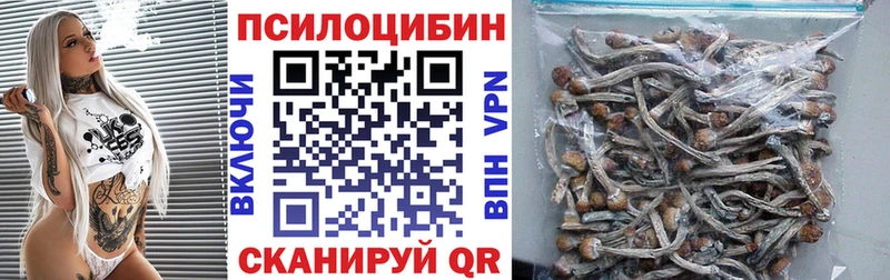 где купить   Мурманск  blacksprut сайт  Галлюциногенные грибы Magic Shrooms 